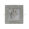 Cadre en plâtre modèle - Nature - Motif  "Fenouil"
