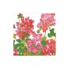 Serviettes en papier - cocktail - "Geraniums"
