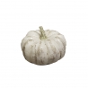 Motif en plâtre - Courge moyenne - blanche
