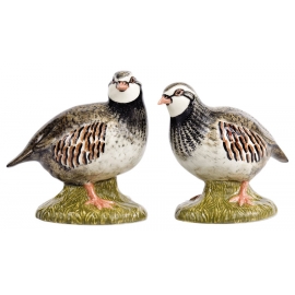 Quail Perdrix sel/poivre