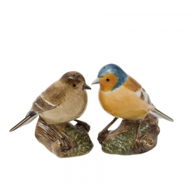 Quail Pinson sel/poivre