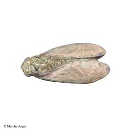 Cigale "Colline" - Rose