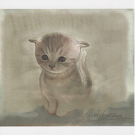 Carte postale " Petit Chat"