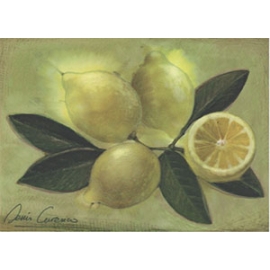 Carte postale - Citrons