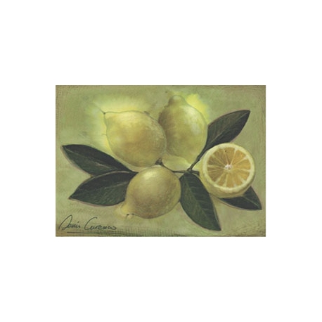 Carte postale - Citrons