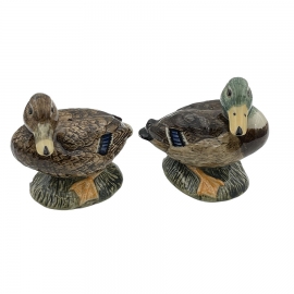 Quail Canard Colvert - sel/poivre