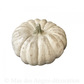 Courge Grand modèle