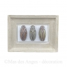 Cadre en plâtre - Alban - beige - 3 cigales.