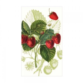 Boite d'allumettes - Les fruits