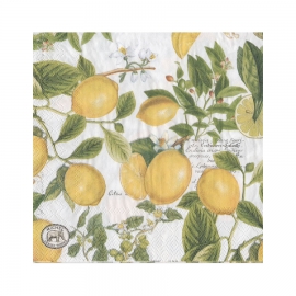 Serviettes en papier - lunch - "Royal Garden" - Lemon Basil