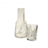 Verre et carafe en verre gravures oiseaux et branchages