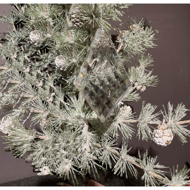 PAMPILLE CHRISTINE COLL.