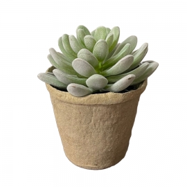 Fausse succulente dans un petit pot en papier mâché
