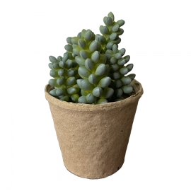 Fausse succulente dans un petit pot en papier mâché