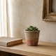 Petit cache-pot Josélia avec plante verte - mise en ambiance