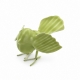 Petit oiseau décoratif Luftikus en métal vert anis 10 cm