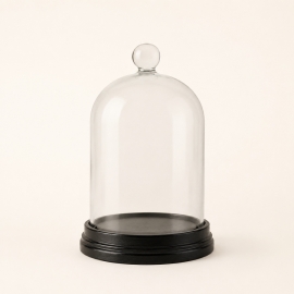 Cloche décorative Delia en verre sur socle en bois noir – 16,5 cm
