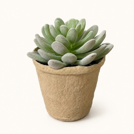 Fausse succulente décorative en pot papier mâché – 11 cm
