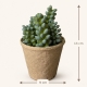  Dimensions totales : hauteur 13 cm, largeur 9 cm