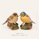 Pinsons Quail, longueur 8 cm, largeur 6 cm et hauteur 8 cm selon la fiche Mas des Anges.