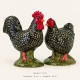 Oiseaux Marans - sel/poivre