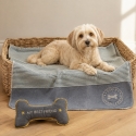 Accessoires pour chiens